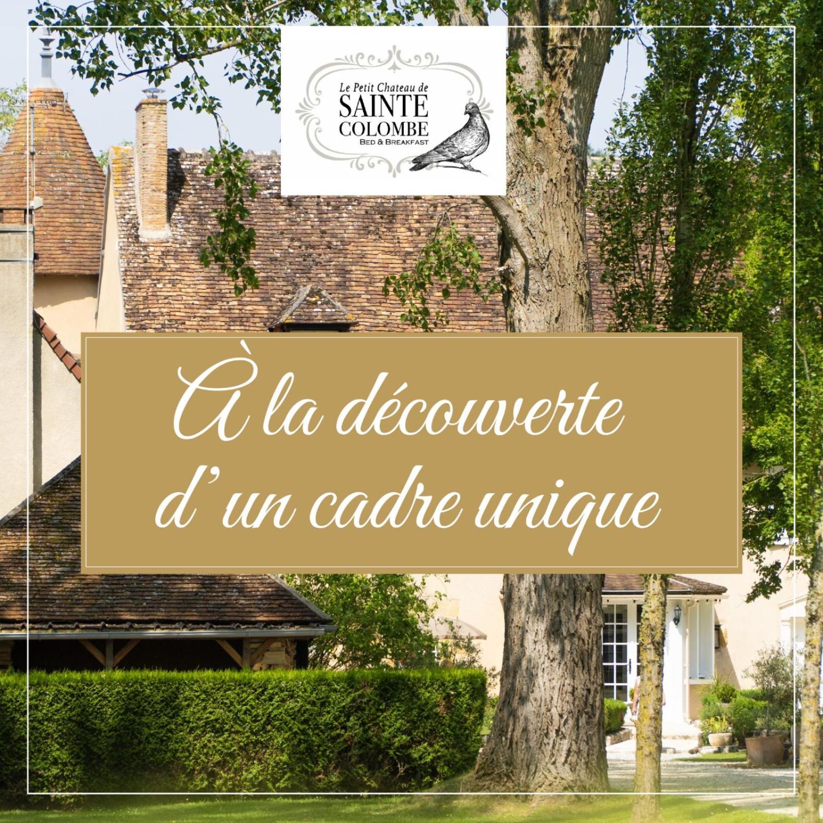 Le Petit Chateau De Sainte Colombe Bouges-le-Chateau Exterior foto